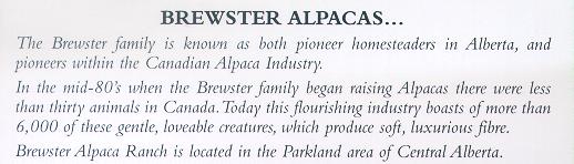 [The Brewster
 family is known as both pioneer homesteaders in Alberta, and pioneers
 within the Canadian Alpaca Industry.  In the mid-80's when the
 Brewster family began raising Alpacas there were less than thirty
 animals in Canada.  Today this flourishing industry boasts 6000 of
 these gentle, loveable creatures, which produce soft, luxurious
 fibre.]