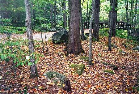 [Image: View toward trailhead