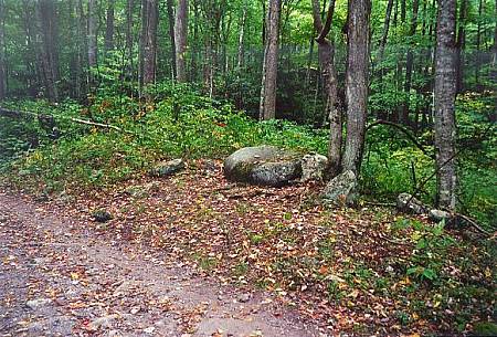 [Image: View toward rock with benchmark