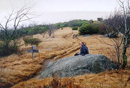 [Image: Terry overlooking the benchmark