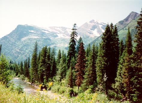 [Upper McDonald Creek, Glacier National Park, Montana]