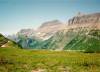 [Field above Logan's Pass, GNP]