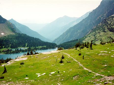 [Foot of Hidden Lake, Glacier National Park, Montana]