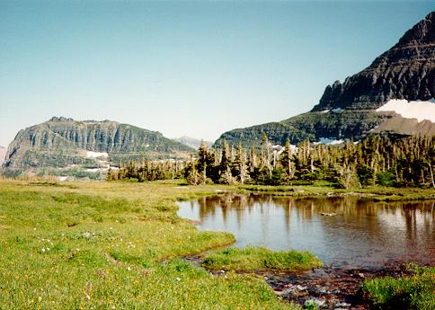 [Pool, Glacier National Park, Montana]