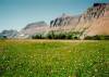 [Field above Logan's Pass, GNP]