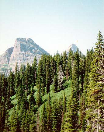 [Heavy Runner Moutain, Glacier National Park, Montana]