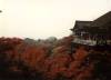 [Kiyomizu Temple, Kyoto]