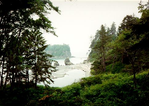 [Ruby Beach, Olympic National Park, Washington]