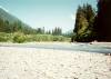 [Hoh River, ONP]