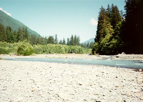 [Hoh River, Olympic National Park, Washington]